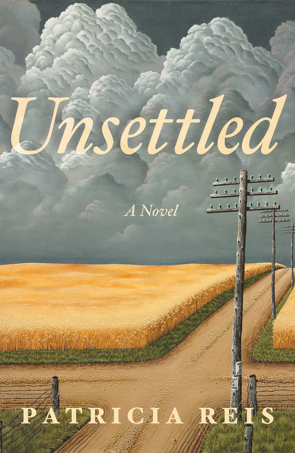 Unsettled: A Novel Book cover