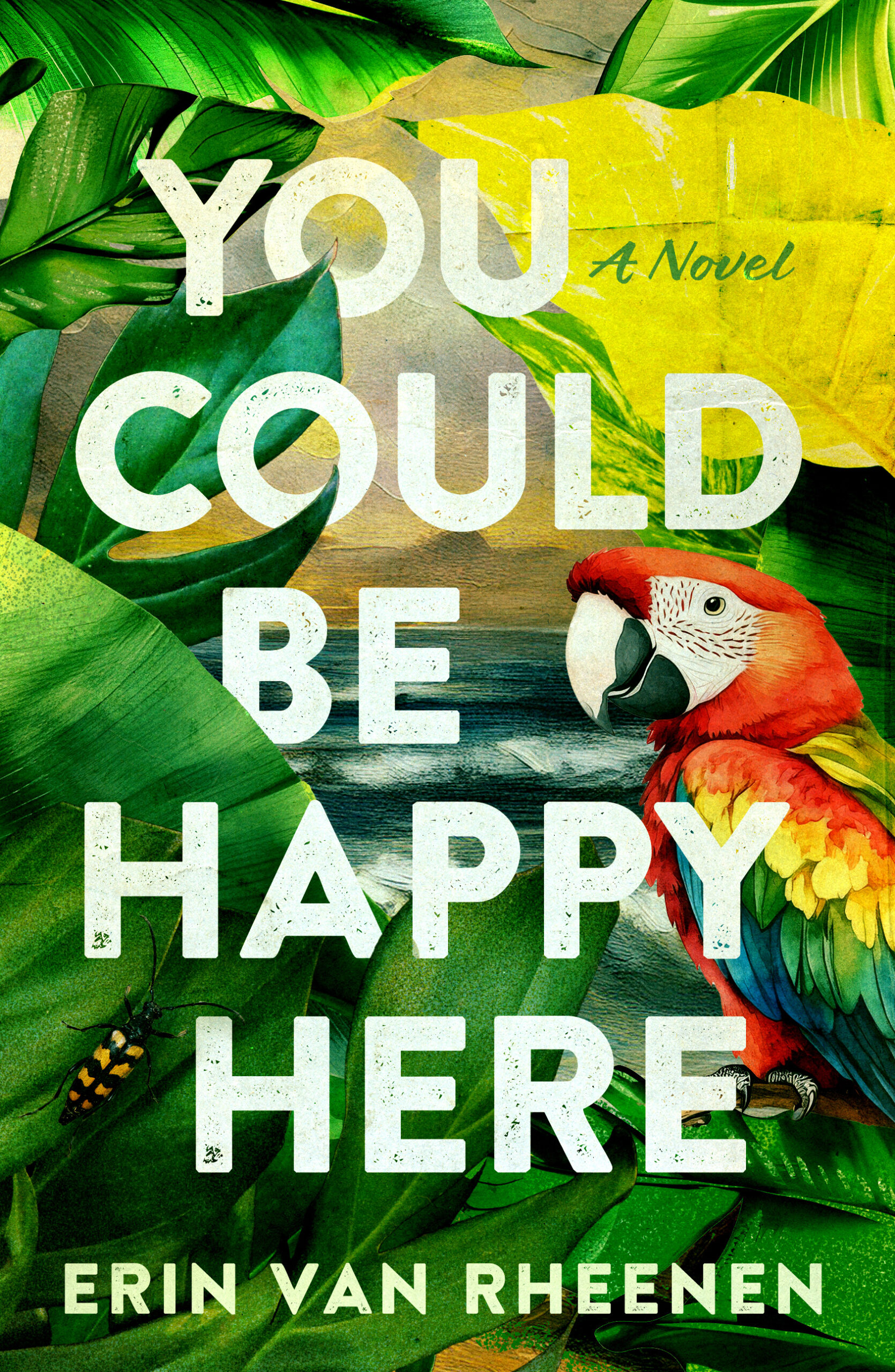 You Could Be Happy Here