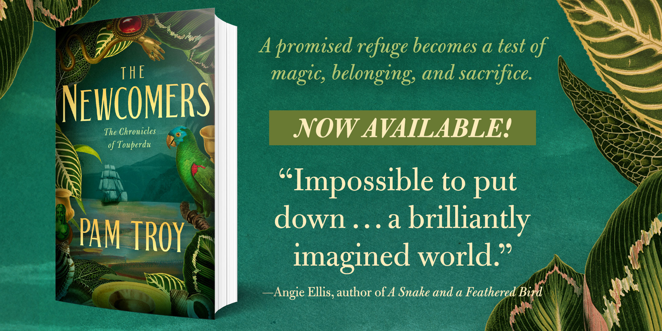 The Newcomers book release
